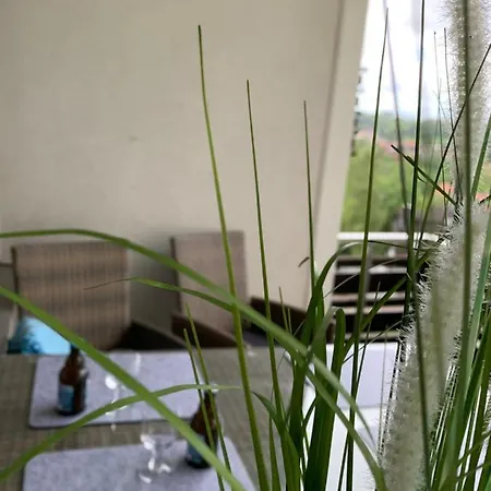 Harz 21 Appartement Braunlage