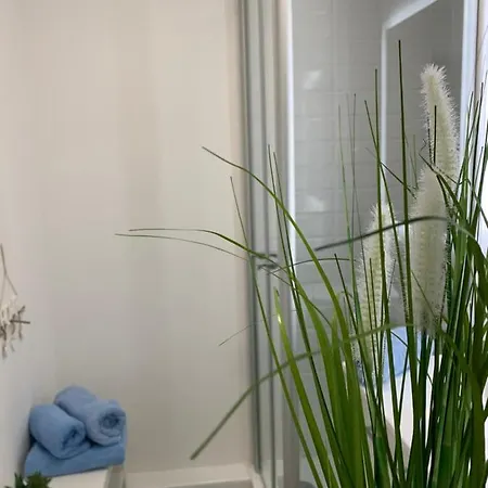 Appartement Harz 21